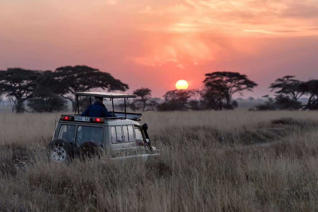 African Safaris: Everything You Need to Know to Plan the Perfect Trip 1 watching the african sunset